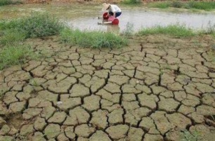 Vietnam joins global efforts to respond to climate change - ảnh 1